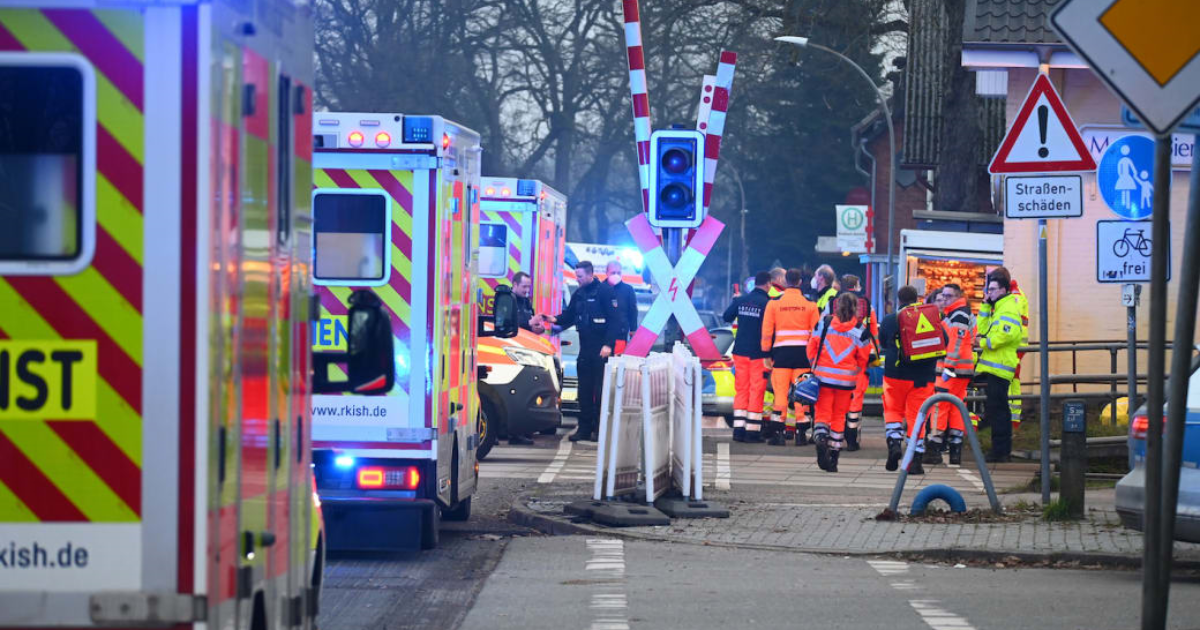 Palestinian Migrant Stabs 9 People on German Train: 2 Dead